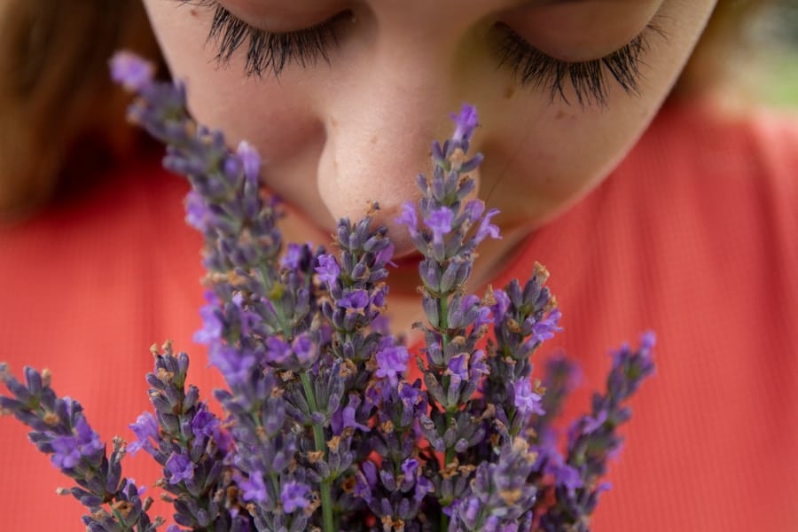 Photo "Aromatherapy at Home: Scents that Enhance Your Well-being"