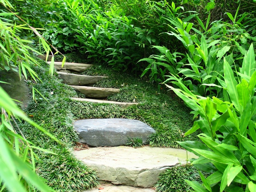 Photo "Step-by-step plan for a Smart and Healthy Living Environment"