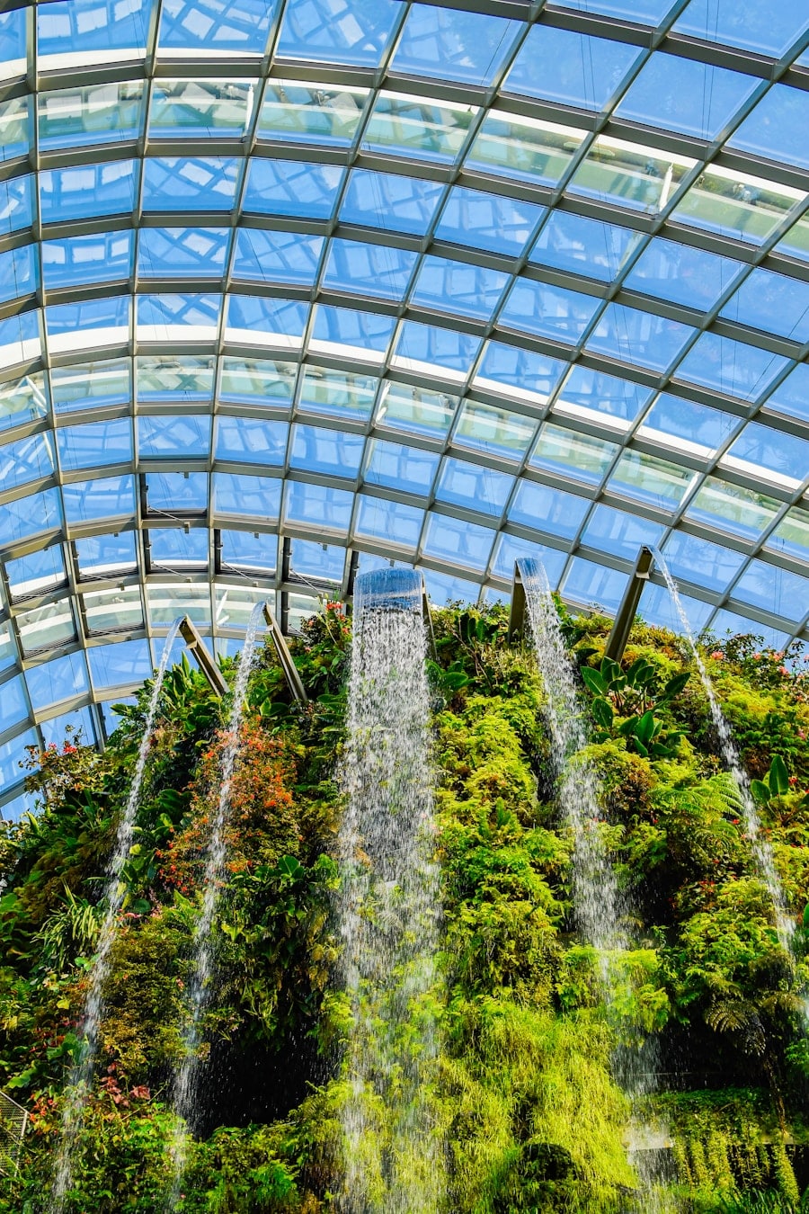 Photo "The Rise of Biophilic Design: Bringing Nature Indoors"