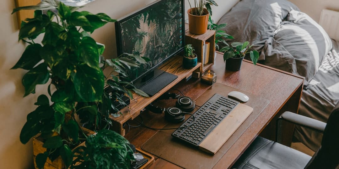 Photo Indoor jungle